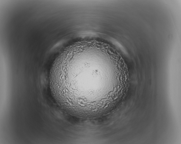 X0000111651063200907241127