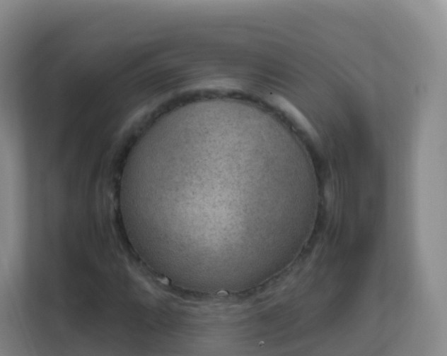 X0000111651064200907241127