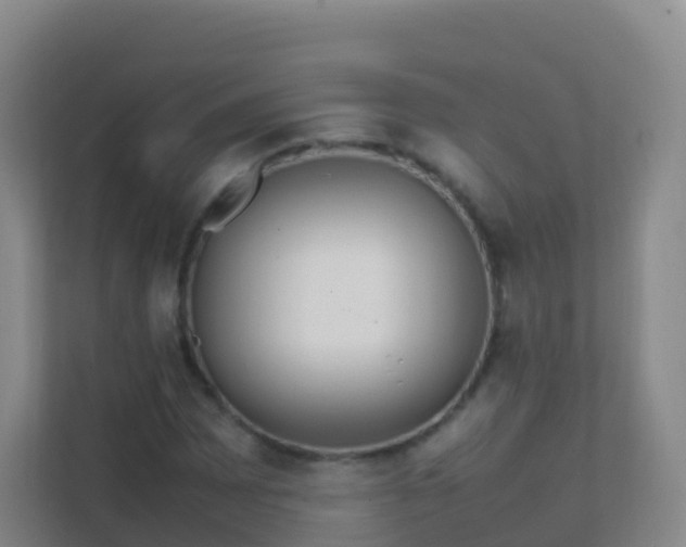X0000111651065200907241127