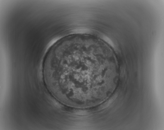 X0000111651071200907241127