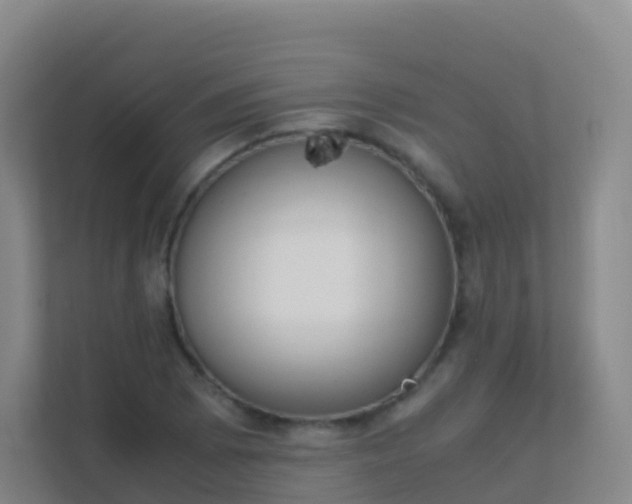 X0000111651073200907241127