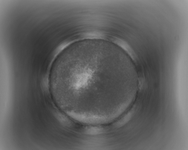 X0000111651074200907241127