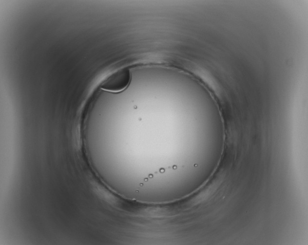 X0000111651075200907241127