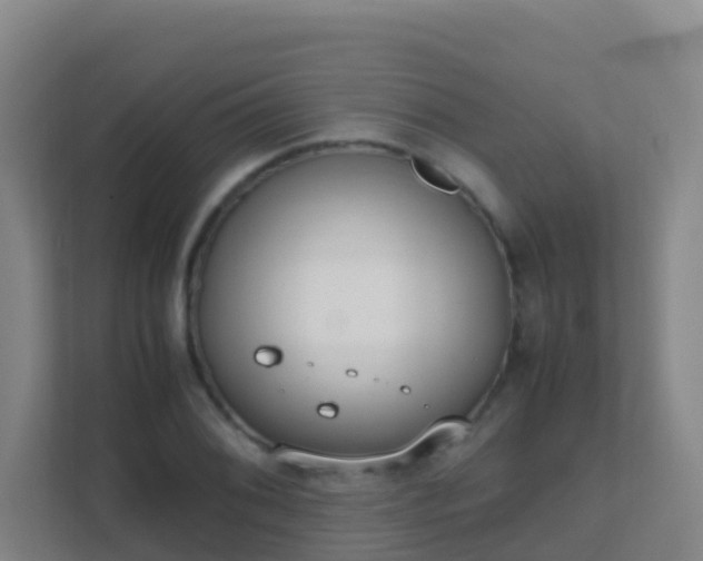 X0000111651076200907241126
