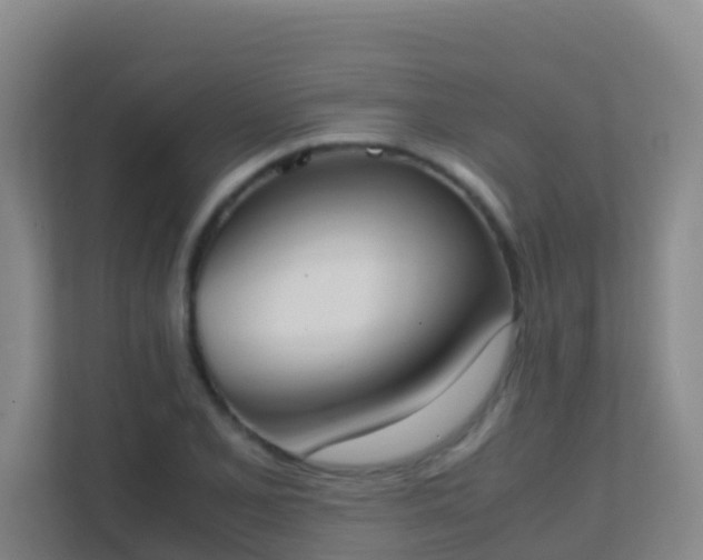 X0000111651077200907241126