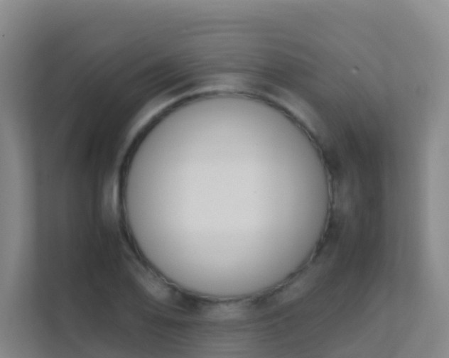 X0000111651078200907241126