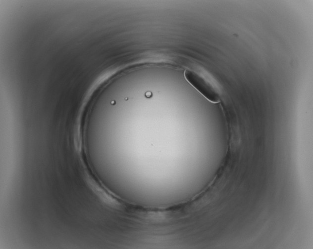 X0000111651080200907241126