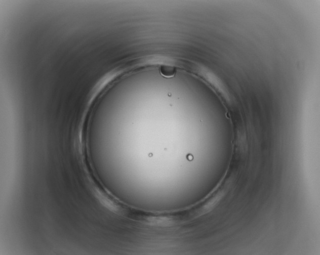 X0000111651082200907241126