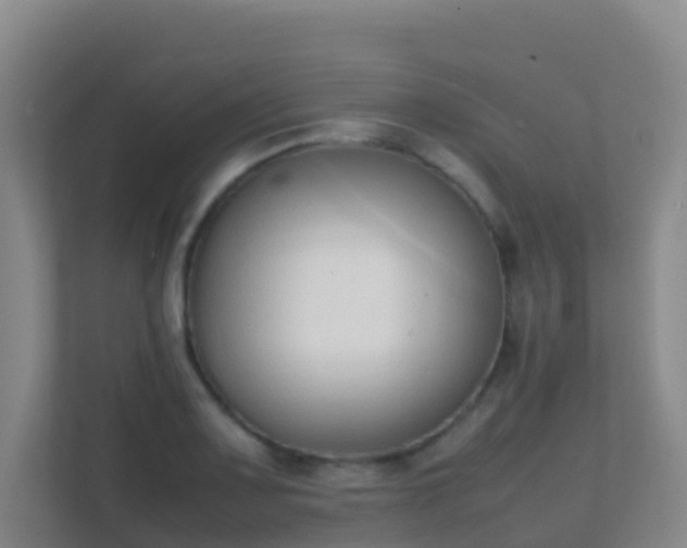 X0000111651083200907241126