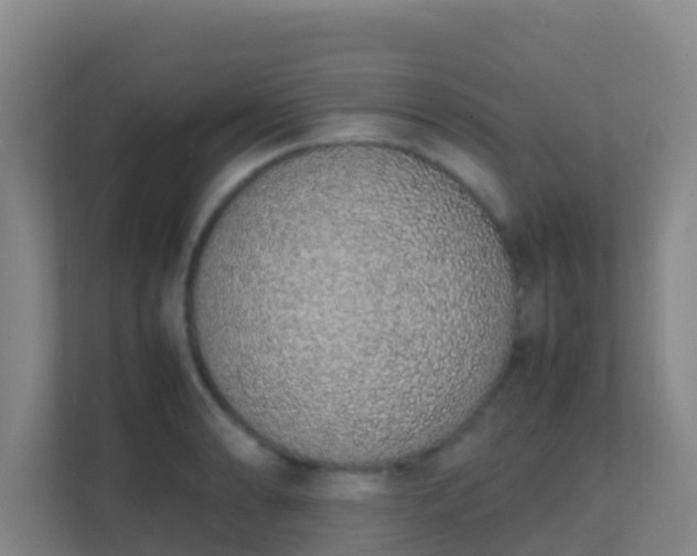 X0000111651086200907241126