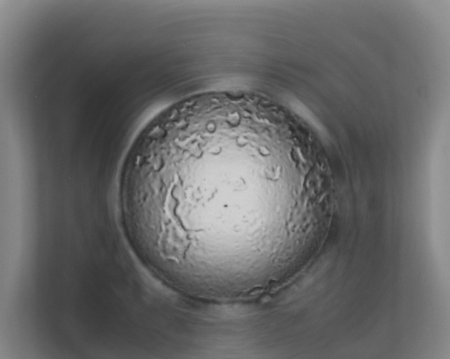 X0000111651087200907241126