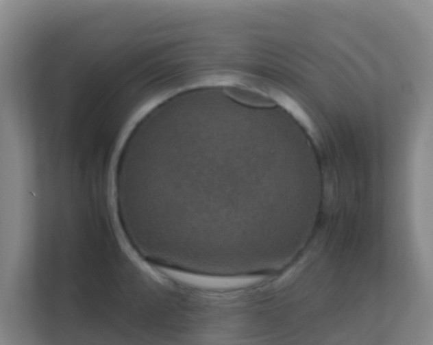 X0000111651088200907241126