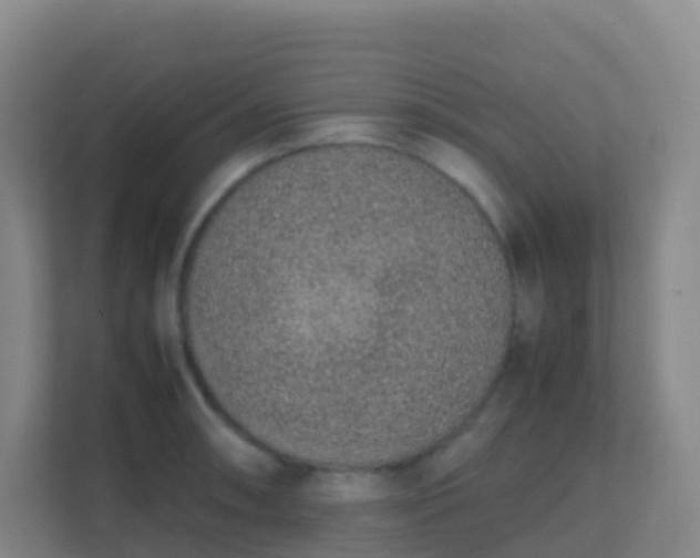 X0000111651090200907241126