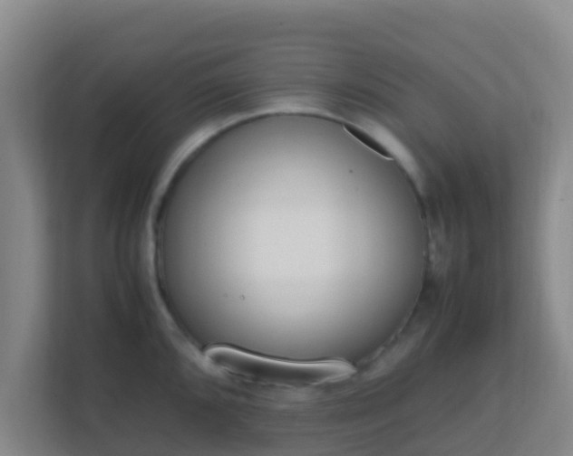 X0000111651096200907241126