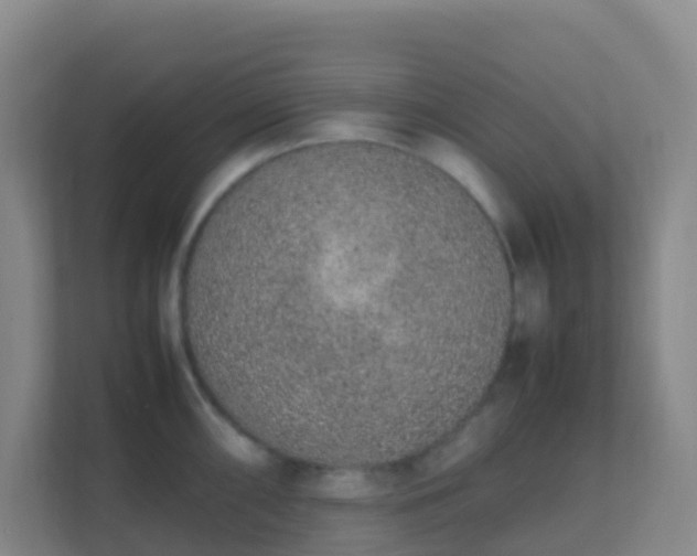 X0000111651098200907241126