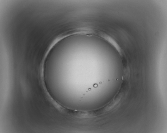 X0000111651099200907241126