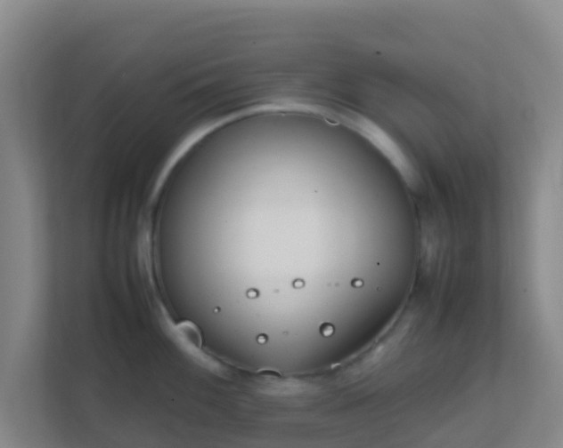 X0000111651100200907241126