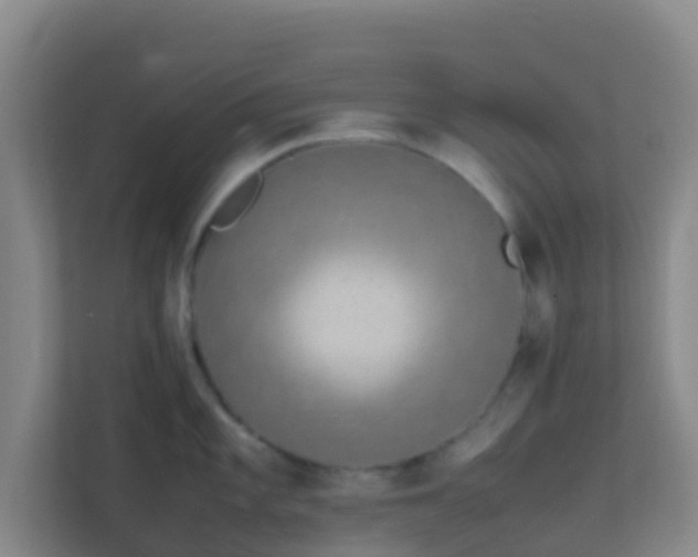 X0000111651101200907241126