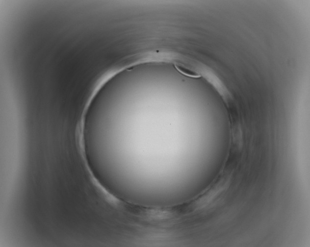 X0000111651103200907241126