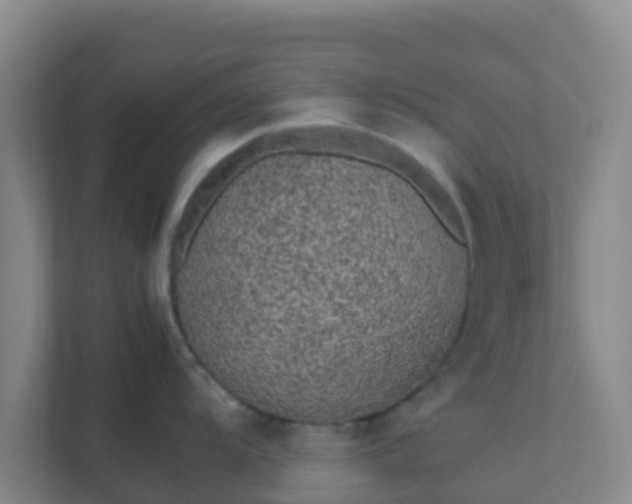 X0000111651104200907241126