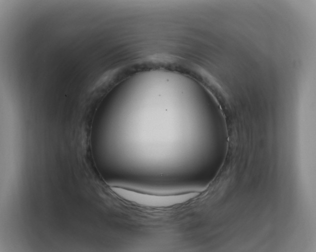X0000111651110200907241126