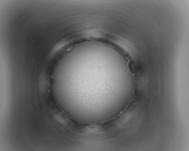 X0000111651112200907241126
