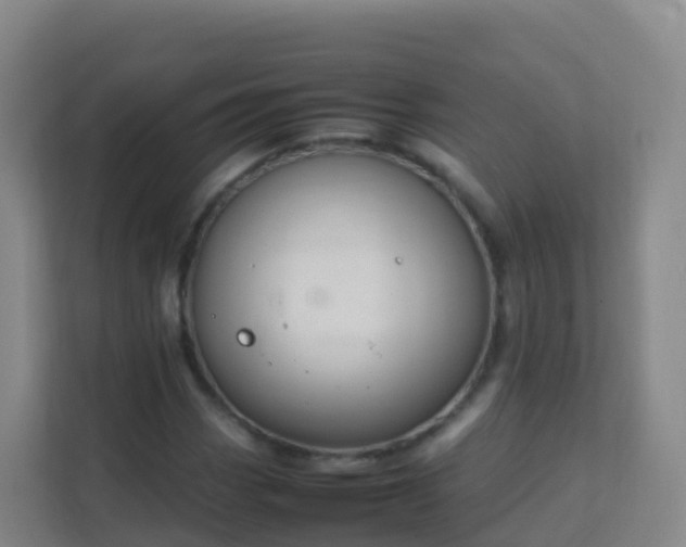 X0000111651113200907241126