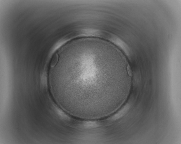 X0000111651114200907241126