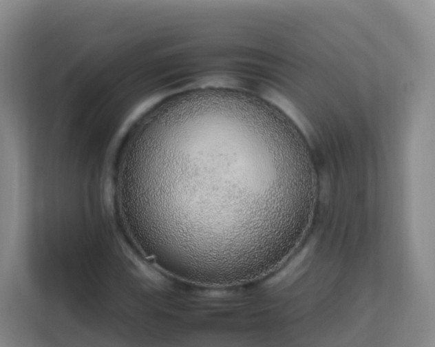 X0000111651115200907241126