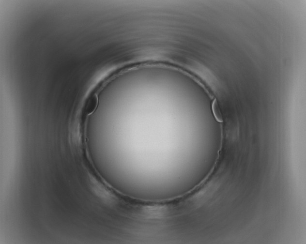 X0000111651118200907241126