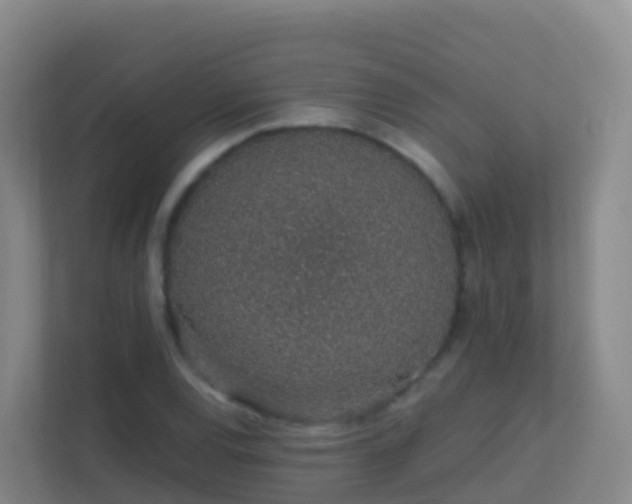 X0000111651120200907241126