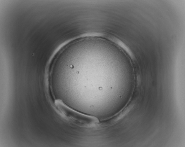 X0000111651124200907241126