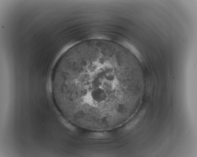 X0000111651125200907241126