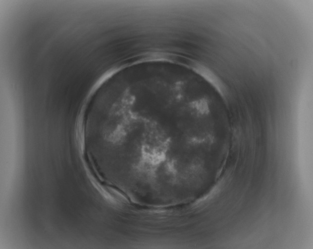 X0000111651127200907241126