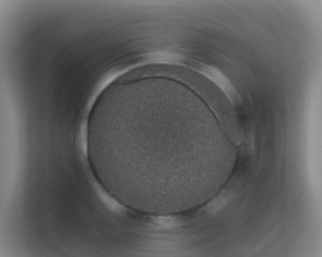 X0000111651128200907241126