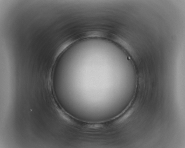 X0000111651129200907241126