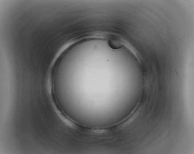 X0000111651131200907241126