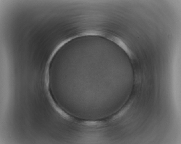 X0000111651132200907241126