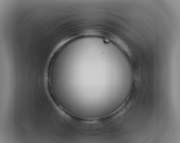 X0000111651133200907241126