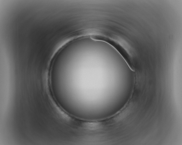 X0000111651134200907241126
