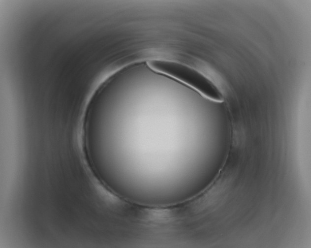 X0000111651136200907241126