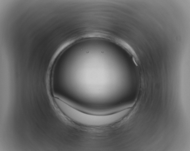 X0000111651138200907241126
