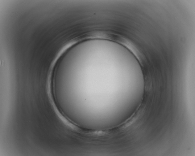 X0000111651139200907241126