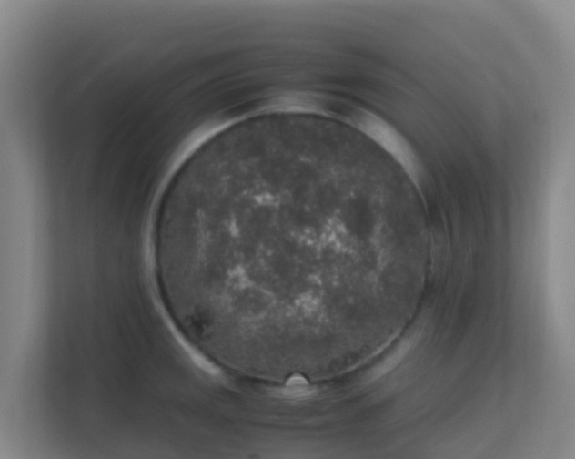 X0000111651141200907241126