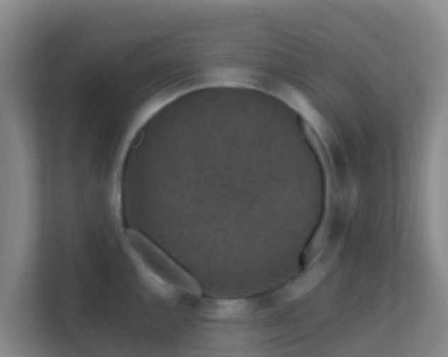 X0000111651144200907241126