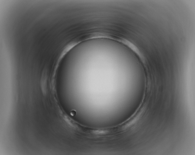 X0000111651145200907241126