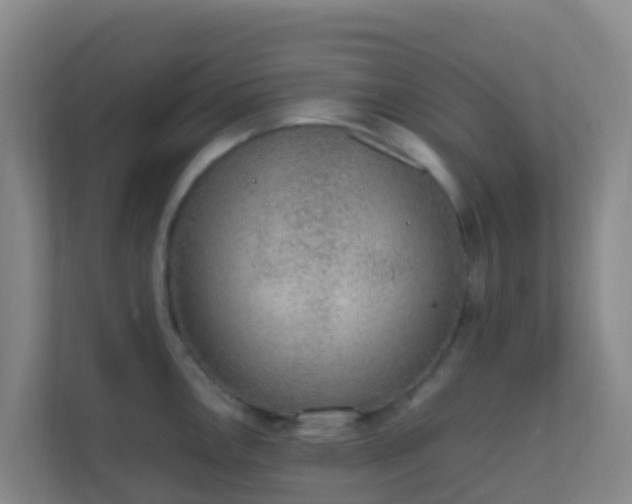 X0000111651146200907241126