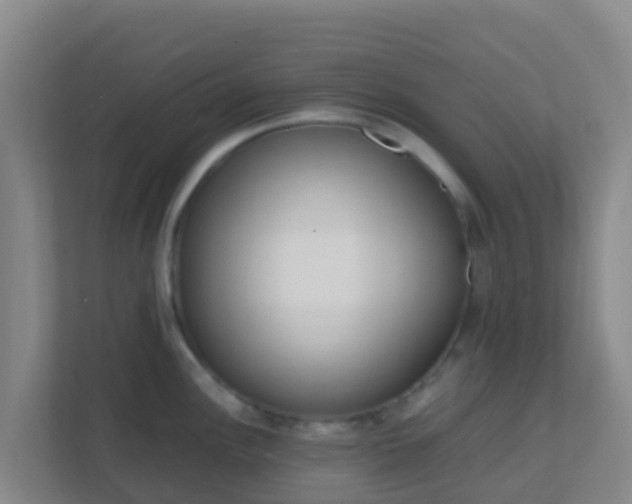 X0000111651148200907241126