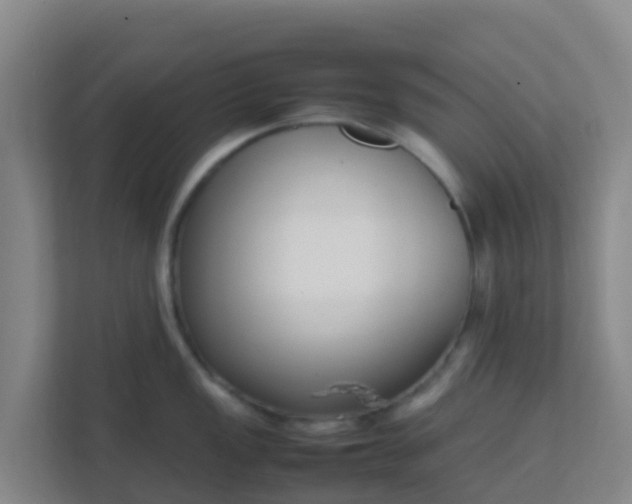 X0000111651149200907241126