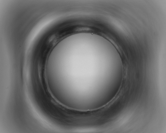 X0000111651151200907241126